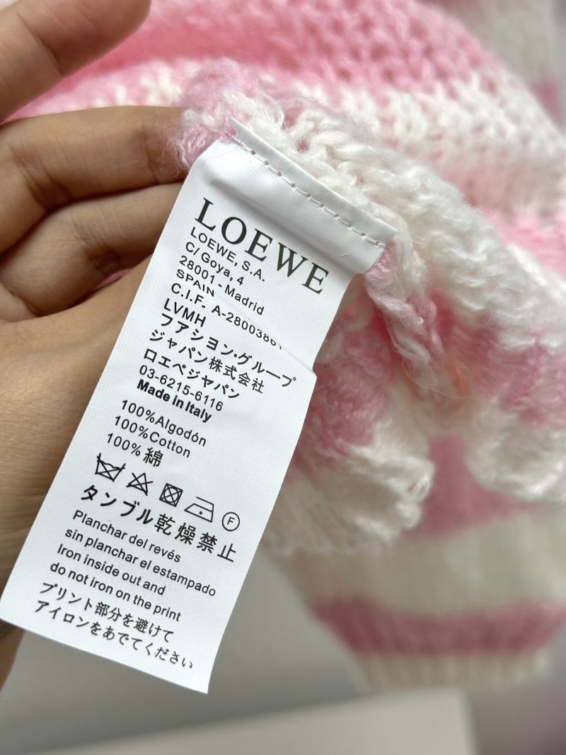 Loewe Sweaters